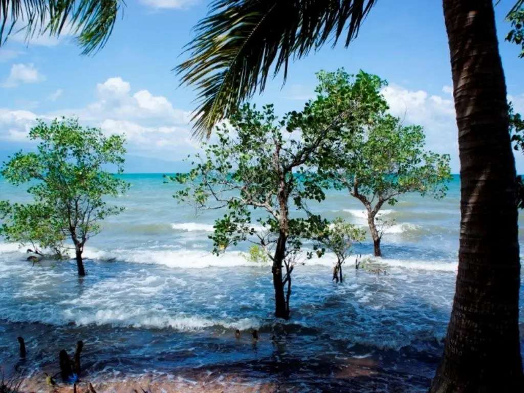 остров Фукуок: Bai Thom Cay Vong Nem Resort