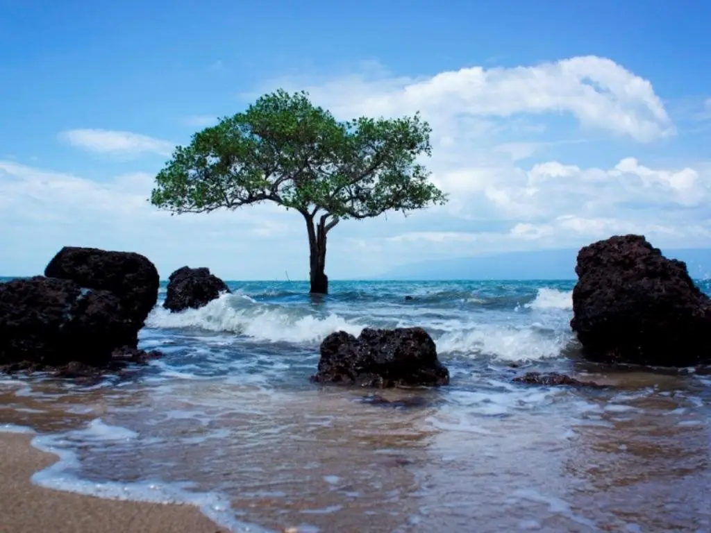 остров Фукуок: Bai Thom Cay Vong Nem Resort