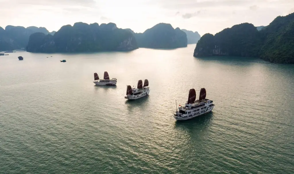 Халонг: Halong Carina Cruise