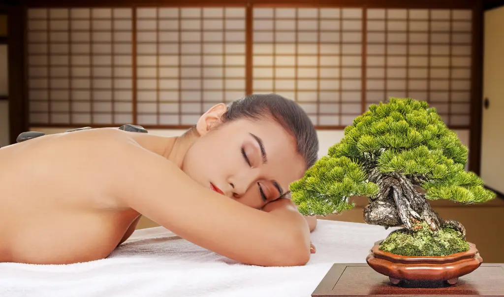 Бакльеу: Sai Gon Bac Lieu Hotel