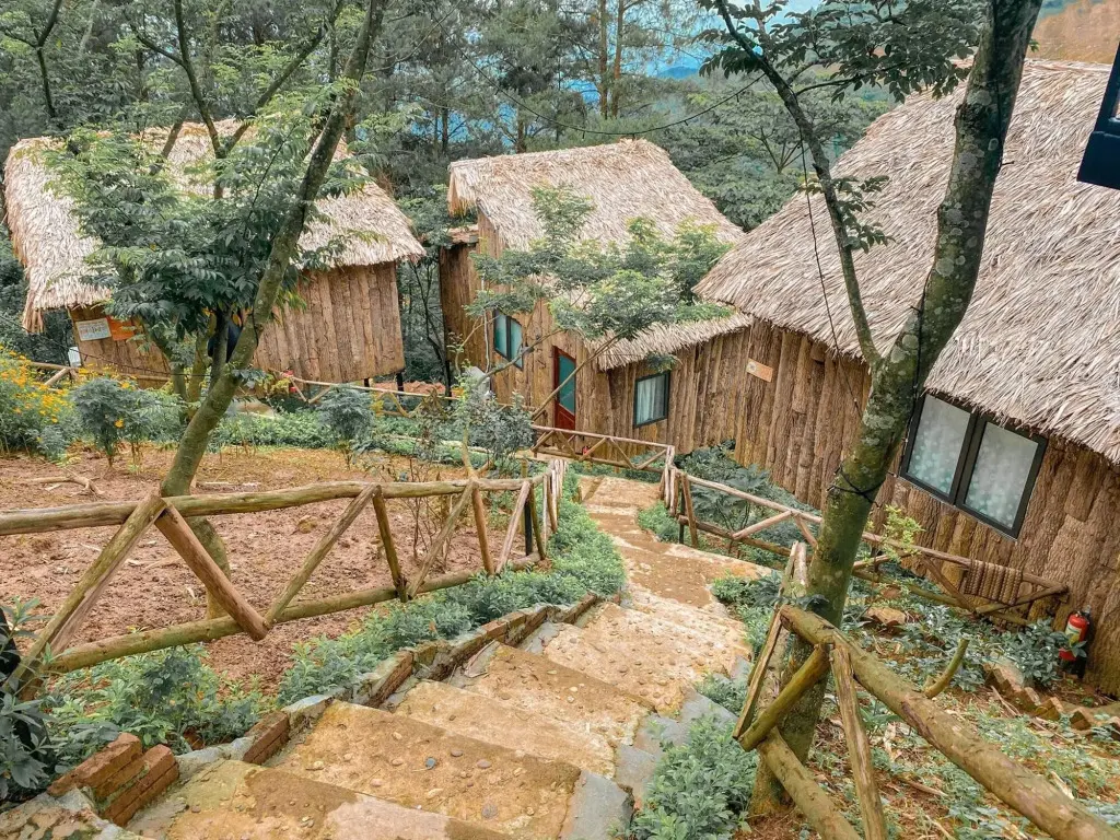 Там-Дао: Tam Dao Star Hotel