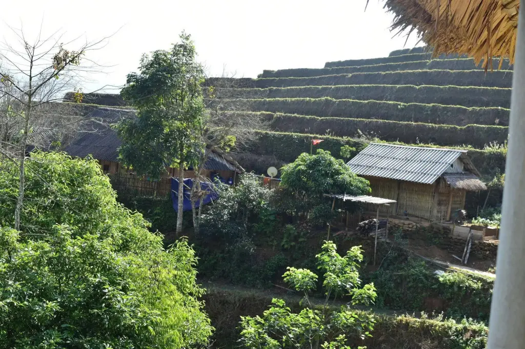 Хазянг: Thong Nguyen Homestay - Hostel
