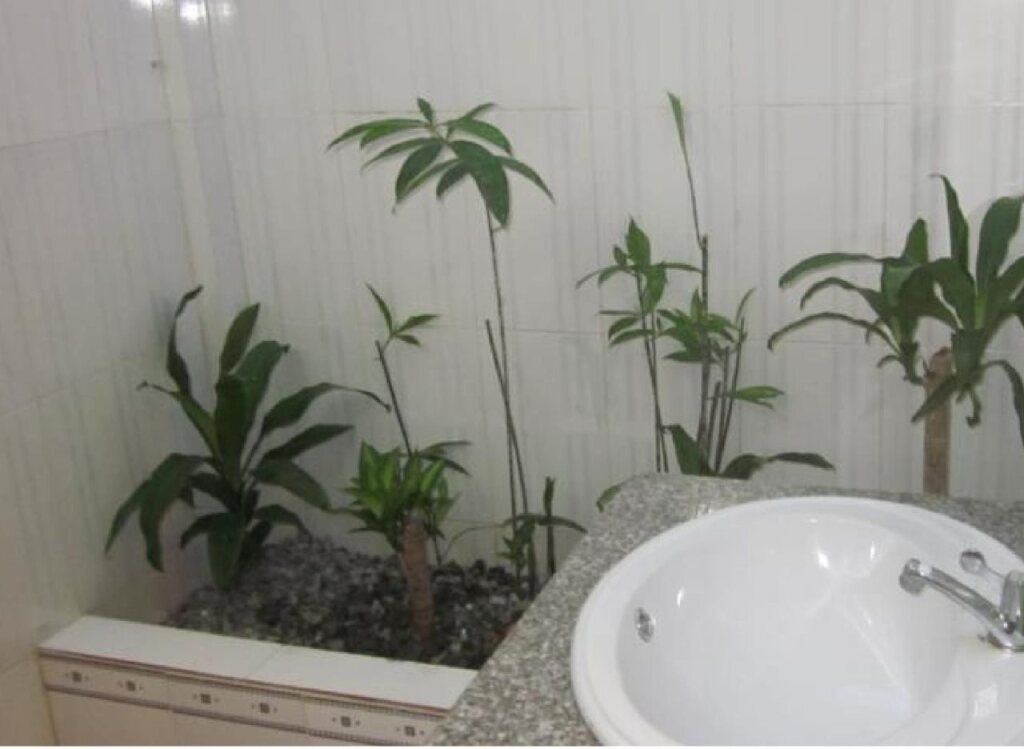 остров Фукуок: Sea Lavie Hostel