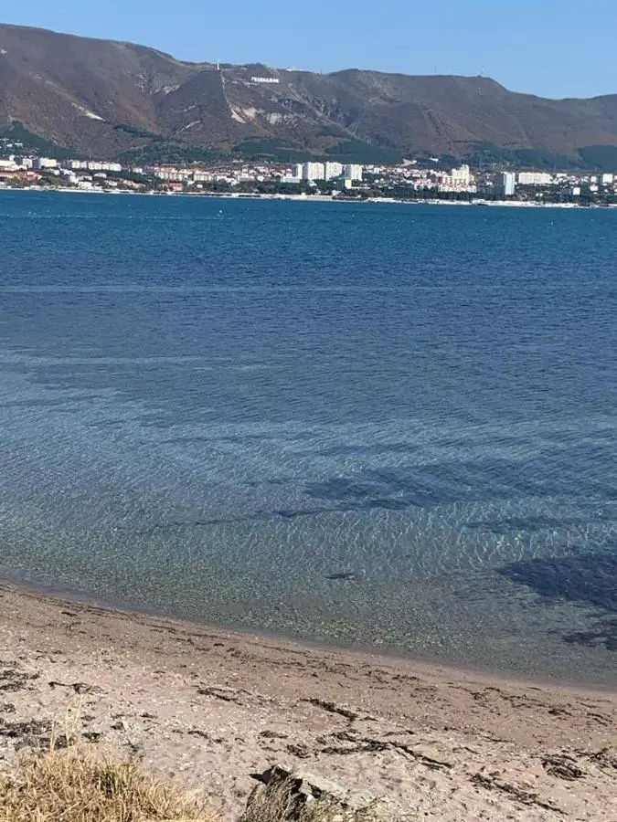 Геленджик: СЕМЬЯ на МОРЯ