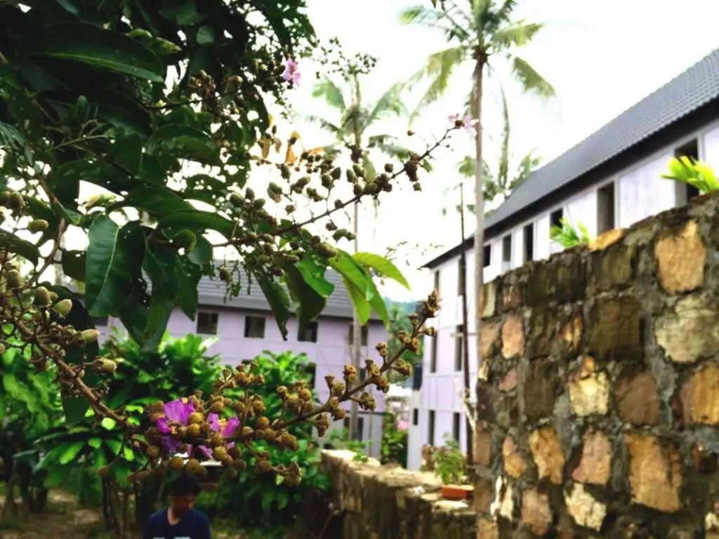 остров Фукуок: Lilac Cottage Homestay
