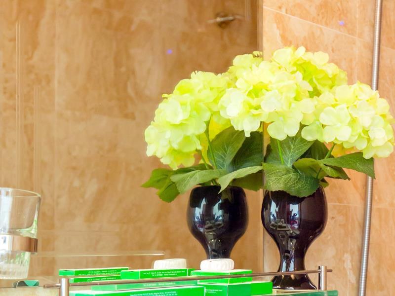 Ханой: Times Hotel Hoang Cau