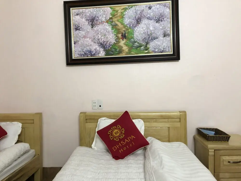Шапа: DH Sapa Hotel