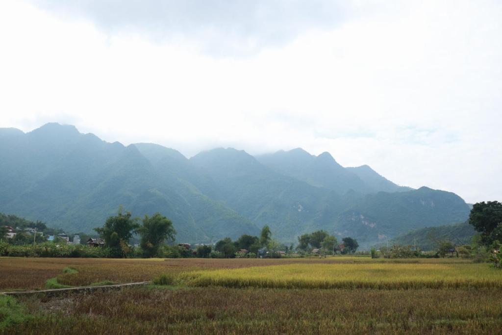 Маи-Чау: Mai Chau Countryside Homestay