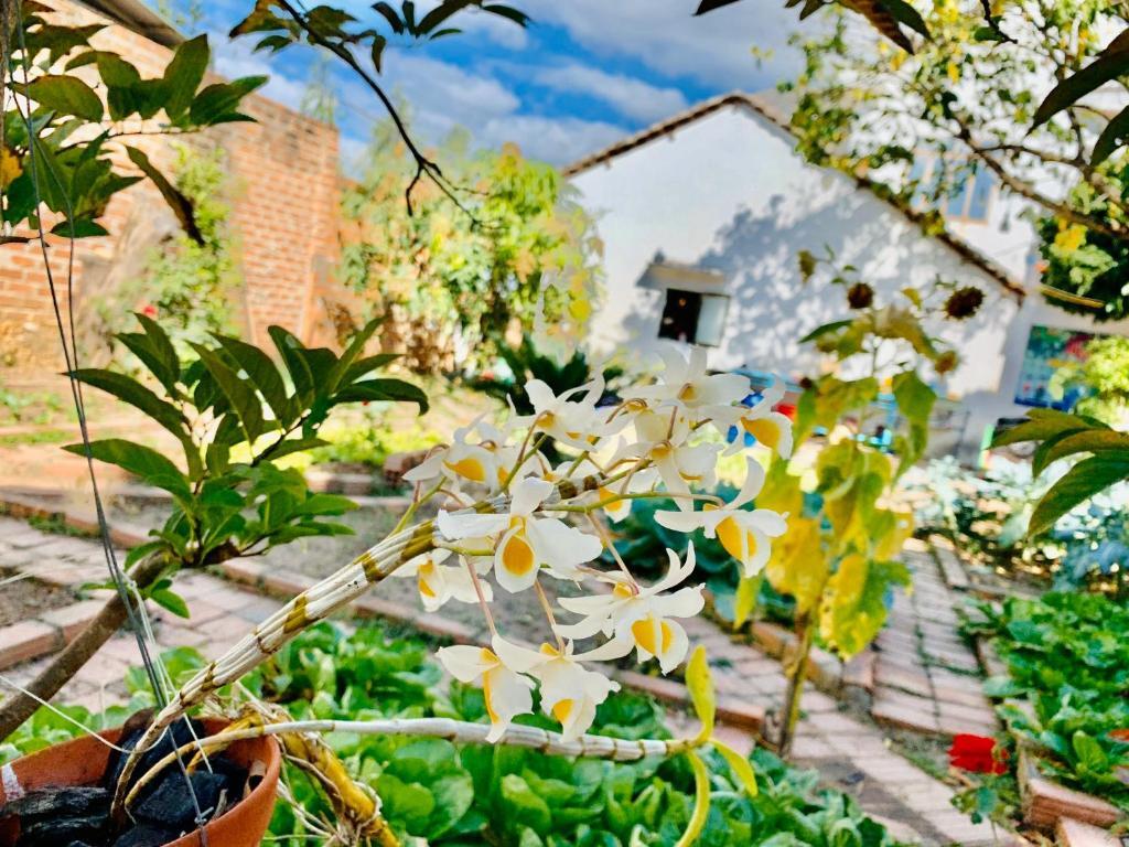 Контум: Vietnam Phuot Homestay