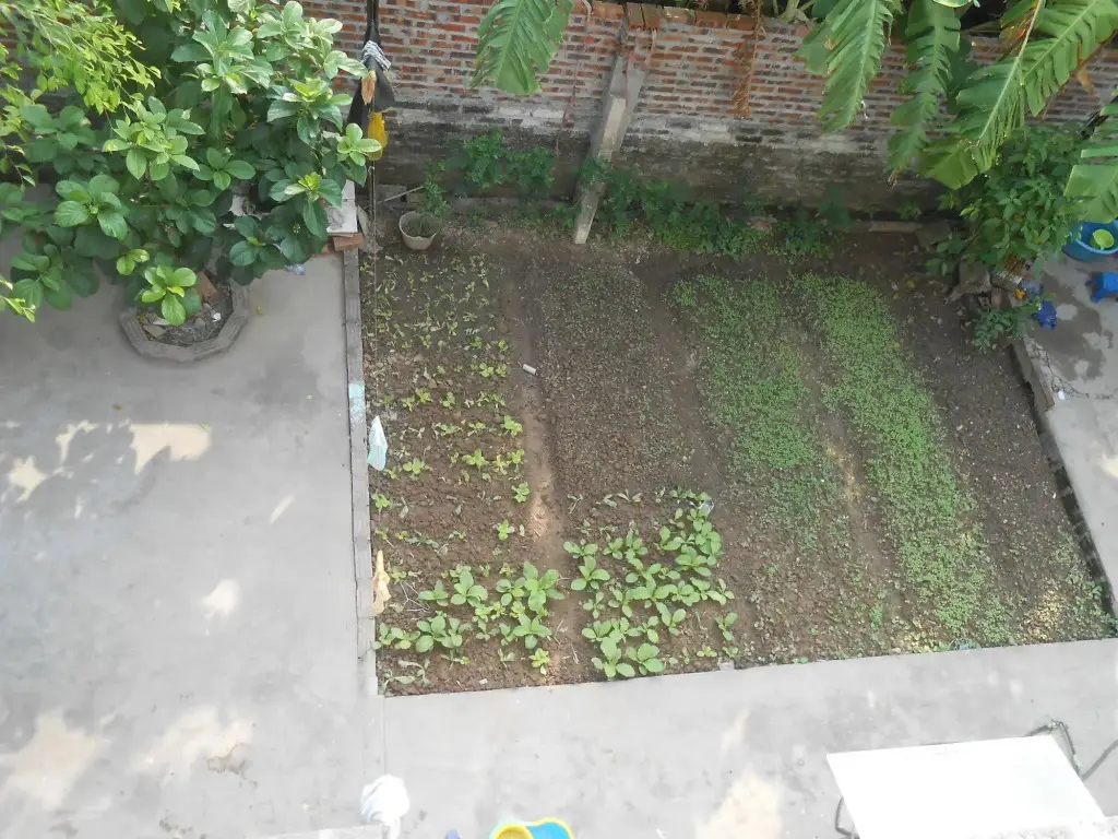 Ниньбинь: Binh Minh Homestay
