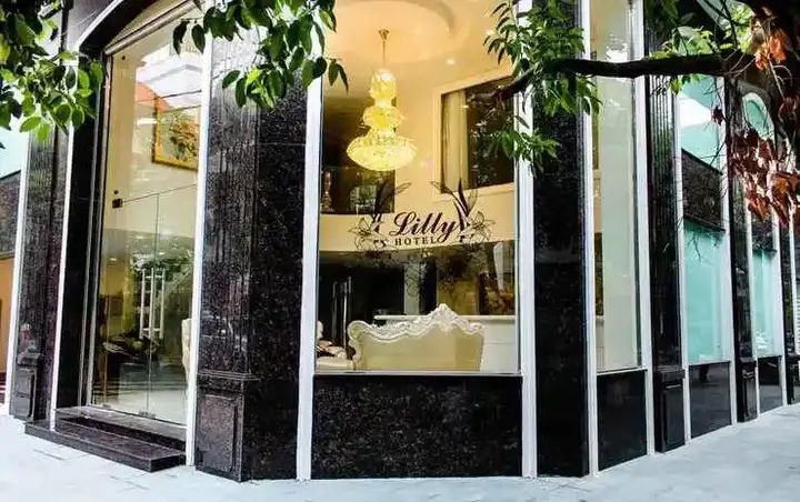 Хошимин: LiLLy Hotel