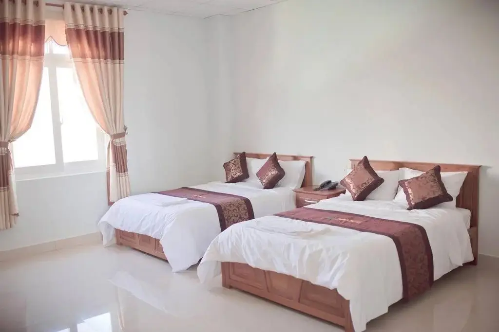 Плейку: Pho Nui Hotel