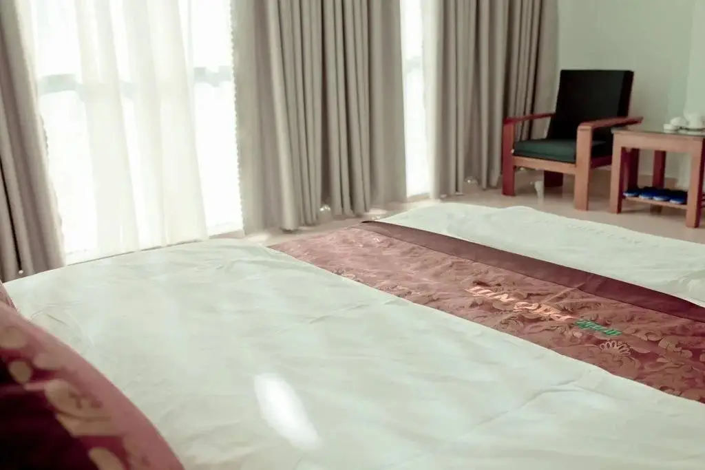 Плейку: Pho Nui Hotel