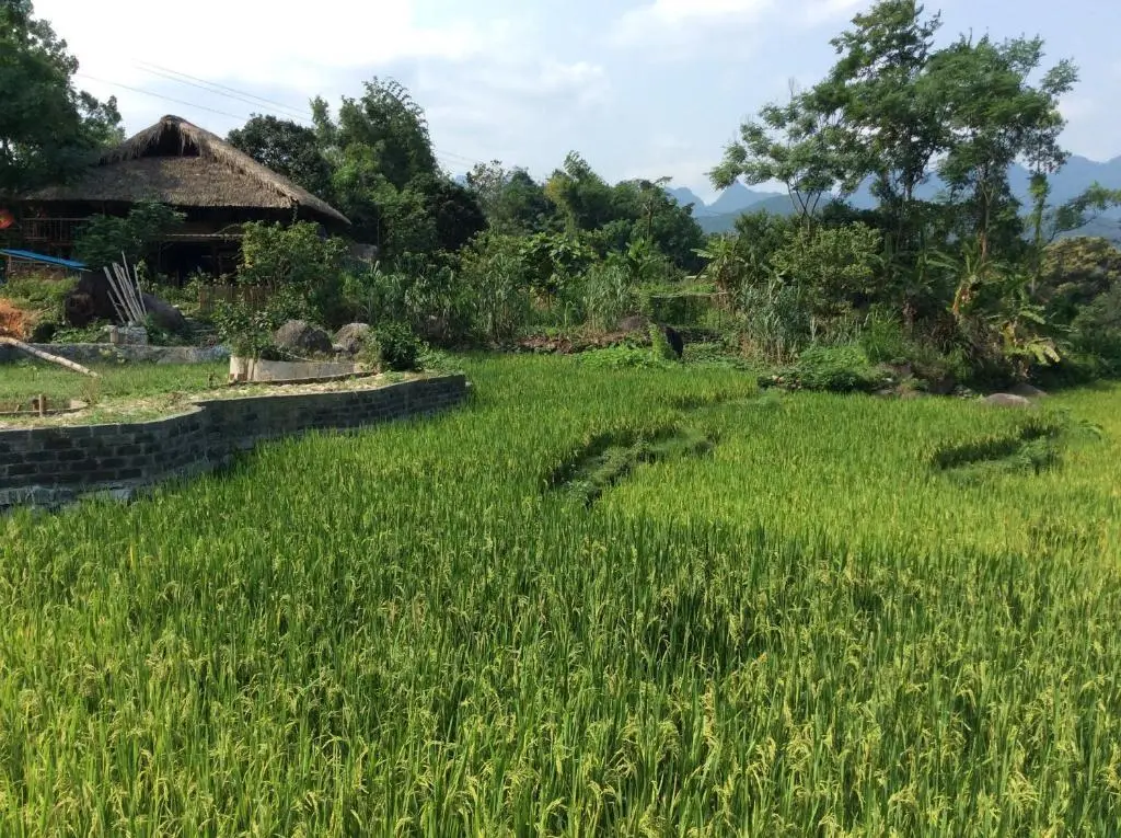 Хазянг: Dong Que Homestay-Tours-Motorbike, Car rental, Hiking