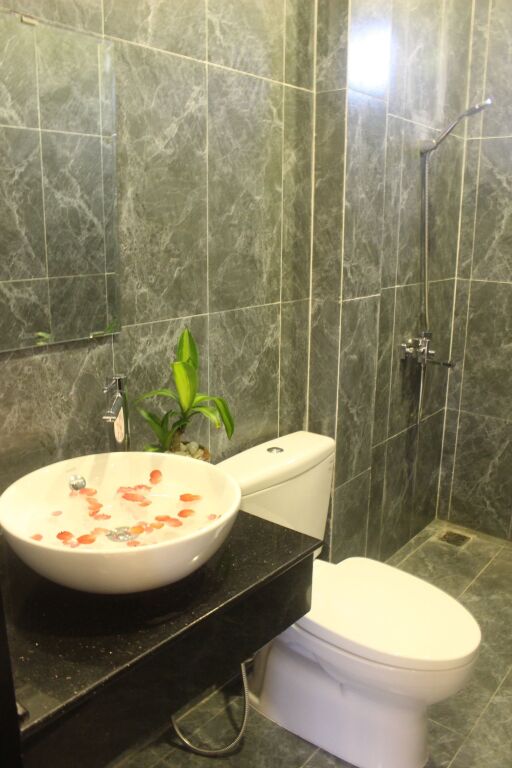 Хойан: Hoi An Green View Homestay