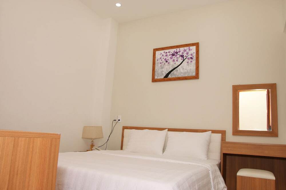 Дананг: Scott Hotel
