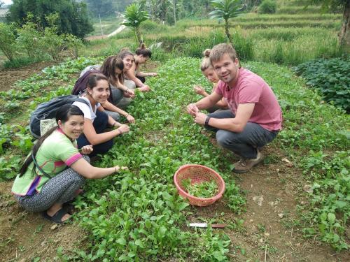 Шапа: Hoa Chanh HomeStay