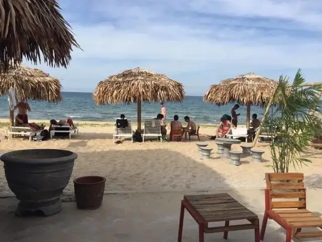 Донгхой: Tiki Hostel