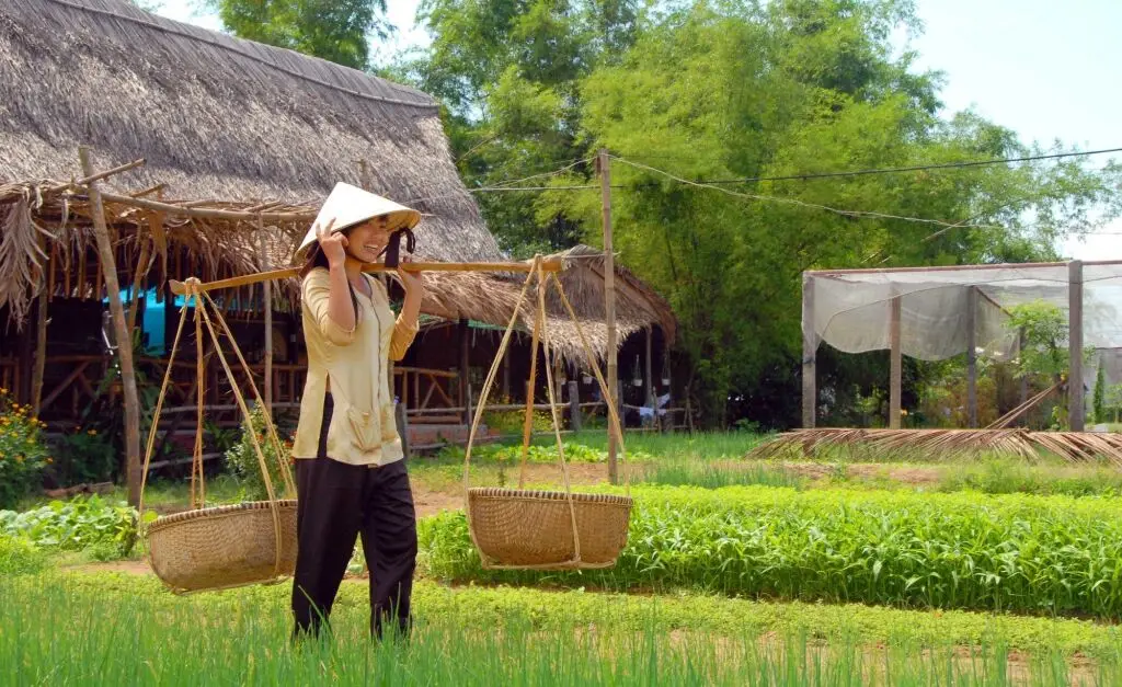 Хойан: Trendy Life Villa Hoi An