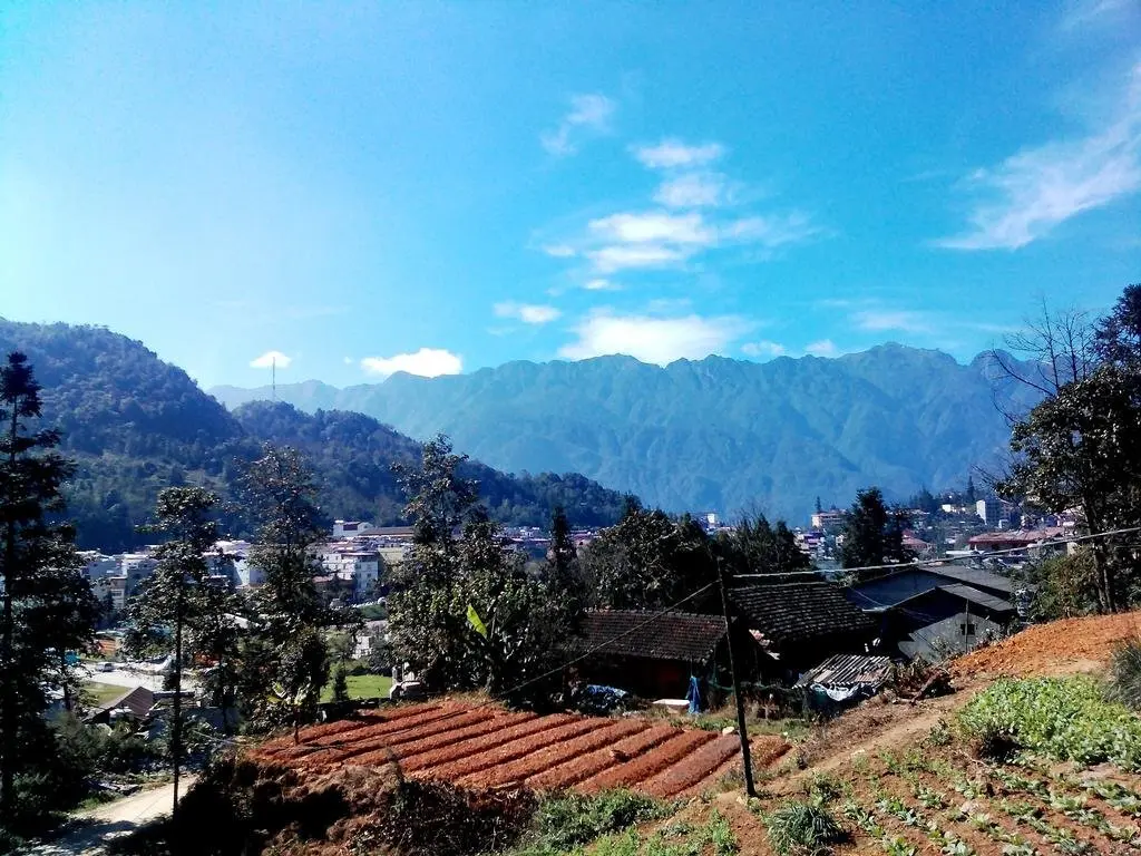 Шапа: Sapa Ham Rong View Hotel