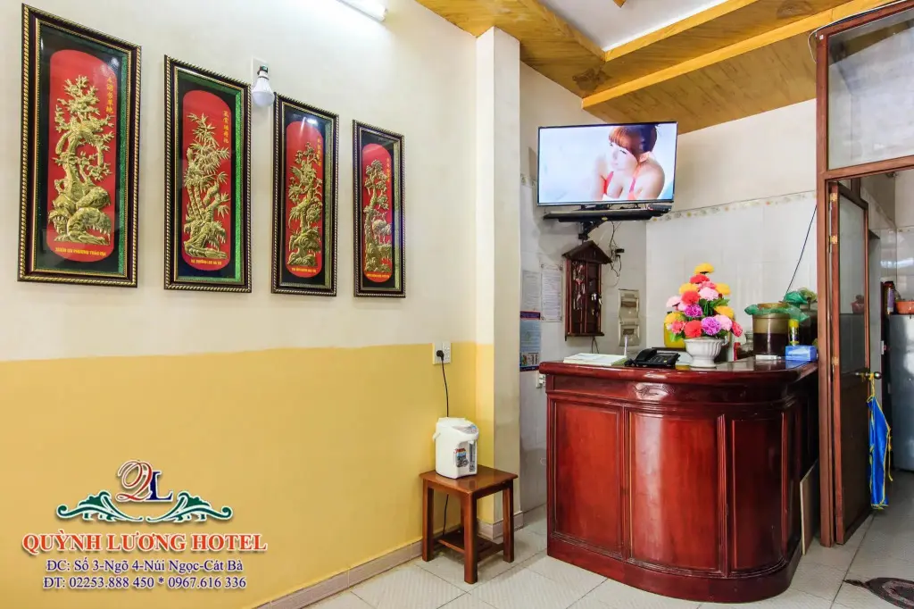 Хайфон: Quynh Luong Hostel