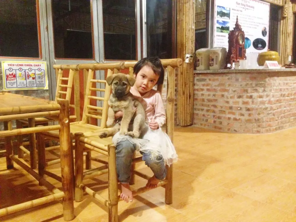 Хоа Лу: Ham Rong Homestay