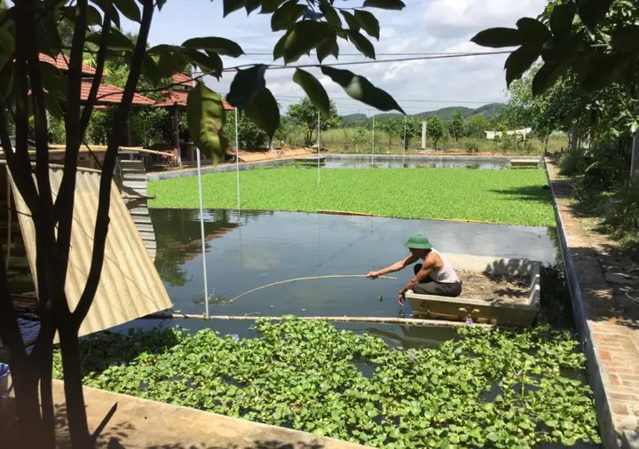 Пху-Бай: Huong Tuan Farmstay
