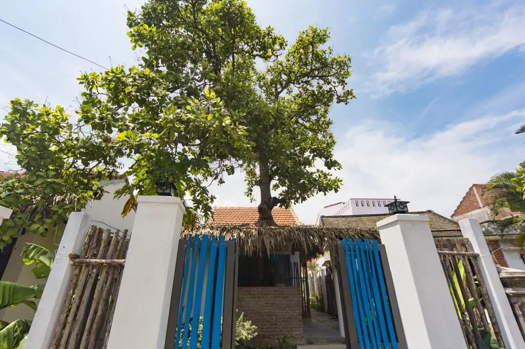 Хойан: Cashew Tree Bungalow
