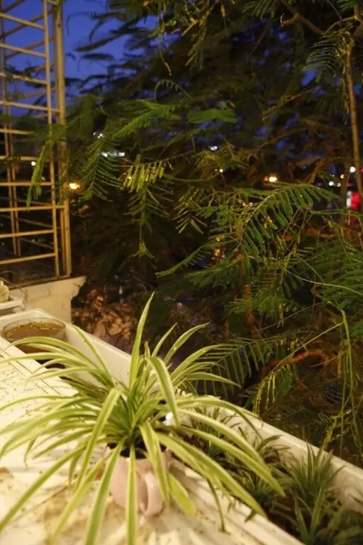 Ханой: Hanoi Lake View Homestay