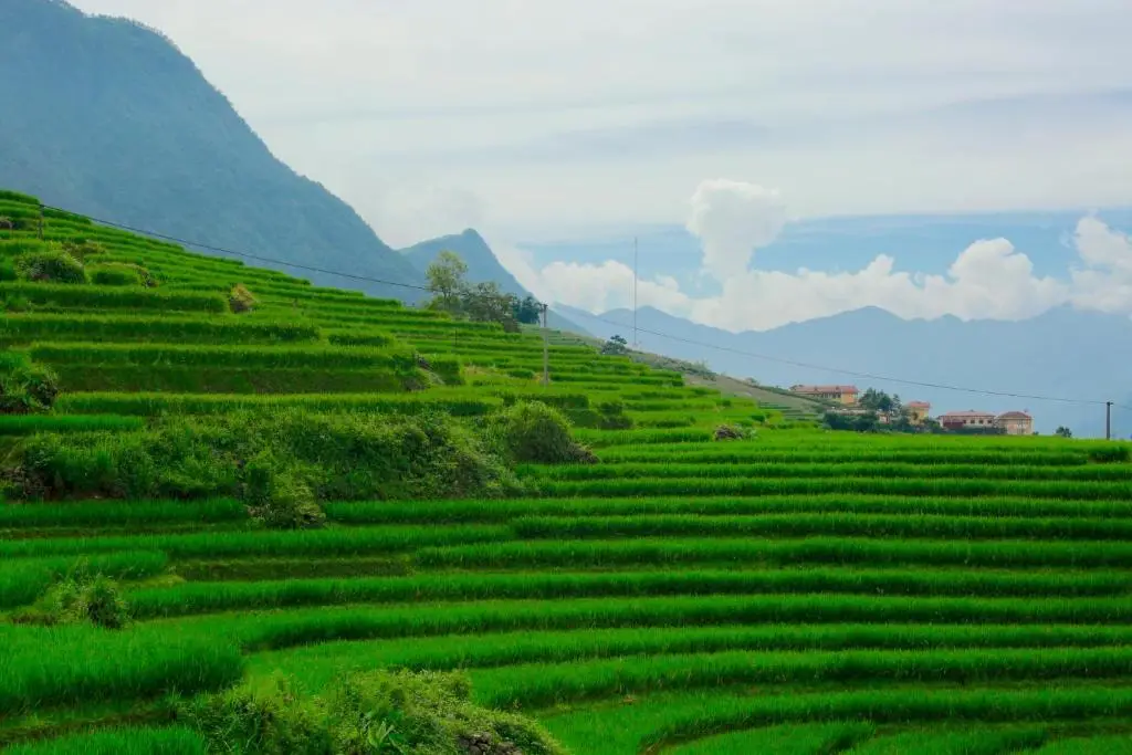 Шапа: Hmong Sister House