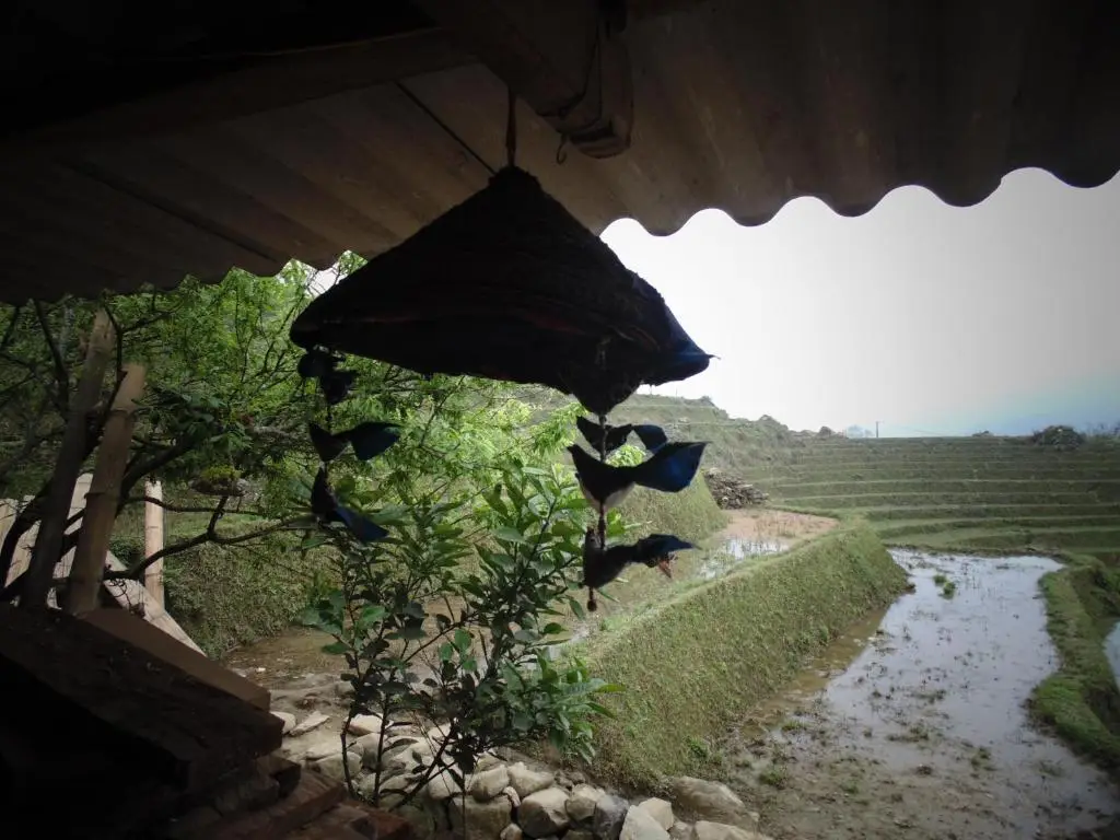 Шапа: Hmong Sister House