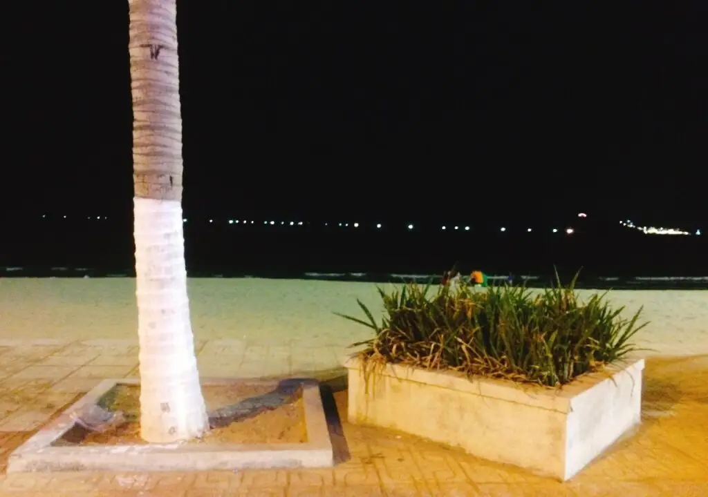 Нячанг: My Homestay - Hostel