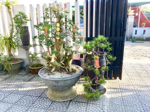 Anh Dung Guest House — фото 1