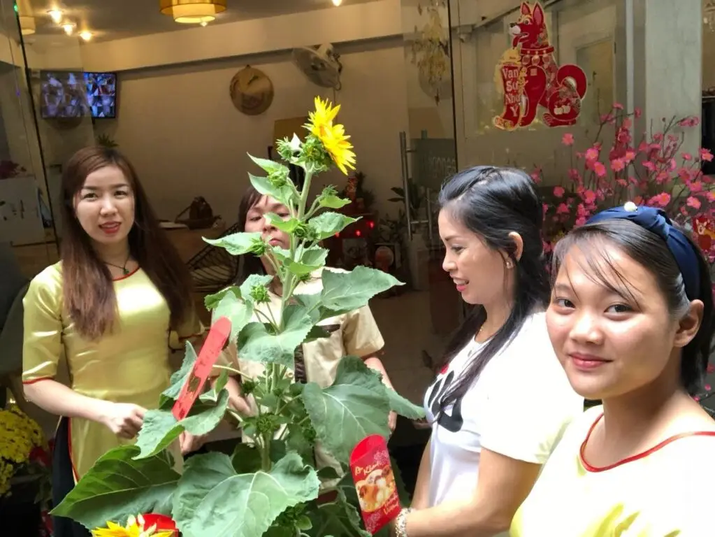 Хошимин: Saigoneer Hotel