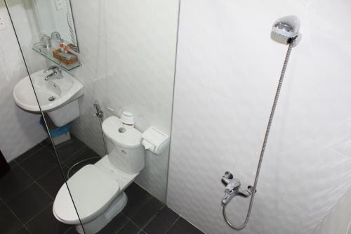 Дананг: Apple Hotel