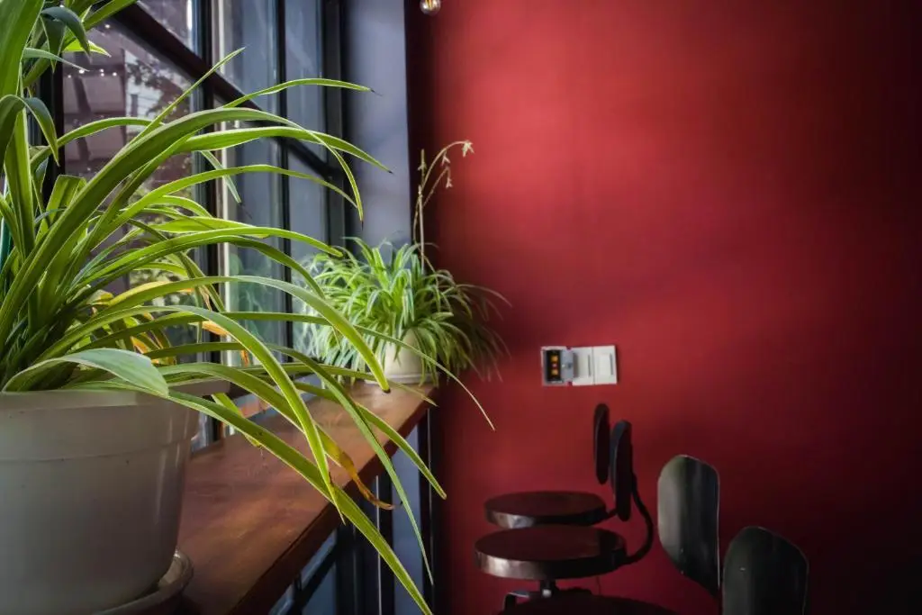Дананг: Kon-Tiki DaNang Hostel