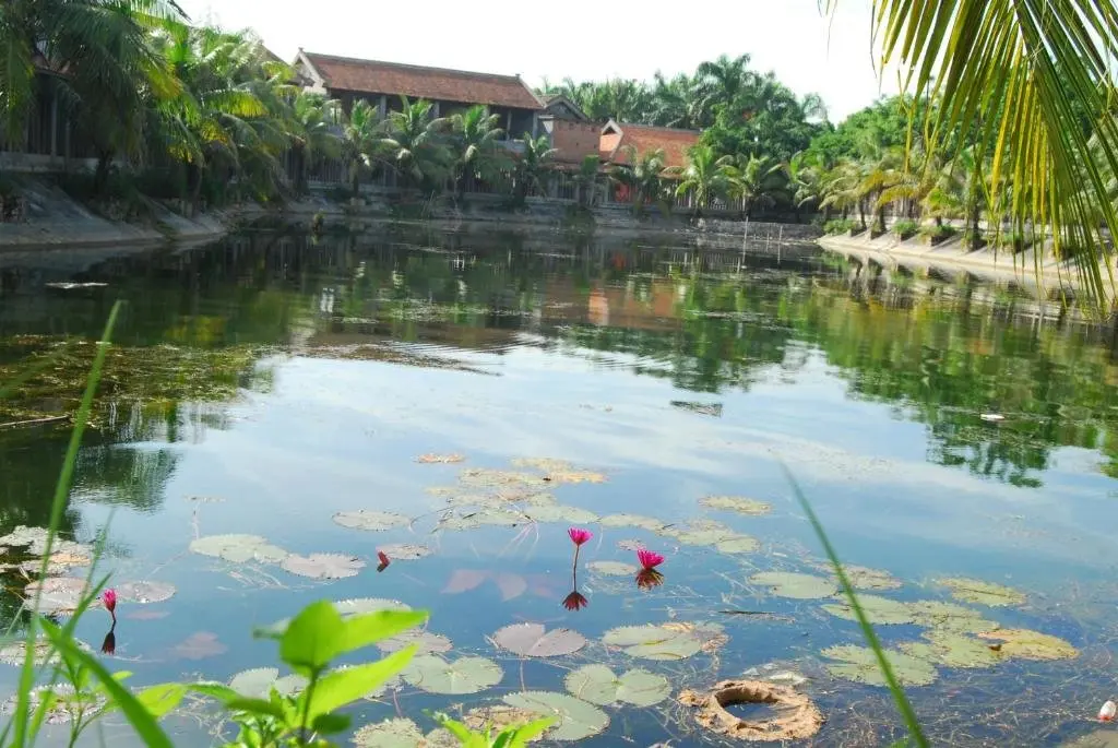 Хоа Лу: Tam Coc Westlake Homestay - Hostel