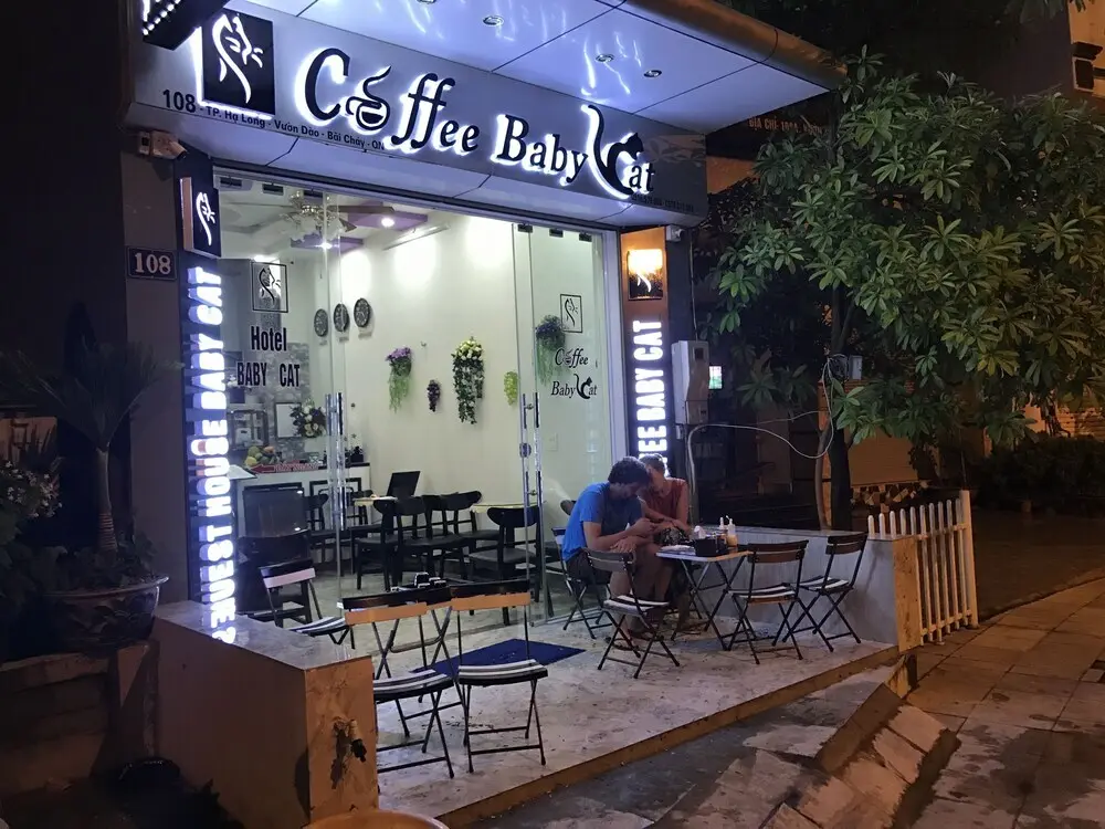 Халонг: Babycat Guesthouse & Cafe