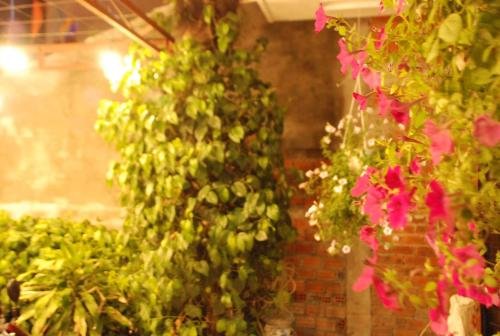 Дананг: Winna Airport Hostel Da Nang