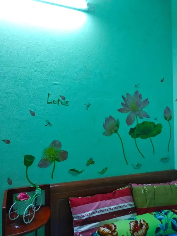 Дананг: Гостевой Дом Win's Danang Homestay
