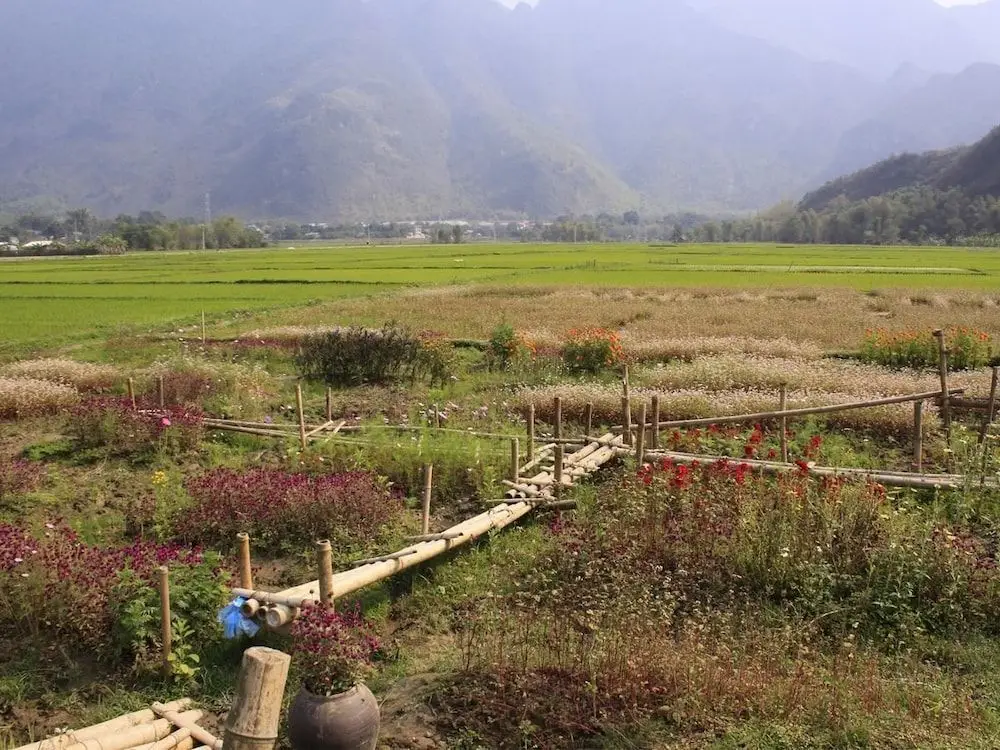Маи-Чау: Ume Mai Chau Eco Homestay