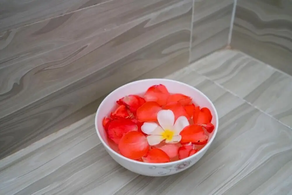 Хойан: My House Homestay Hoi An
