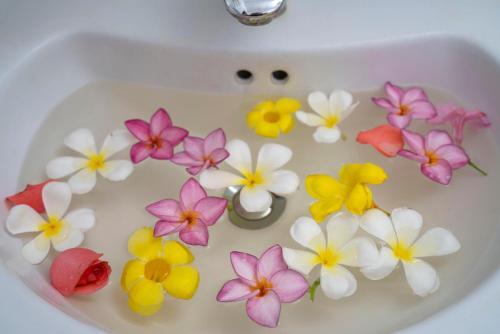 Хойан: My House Homestay Hoi An