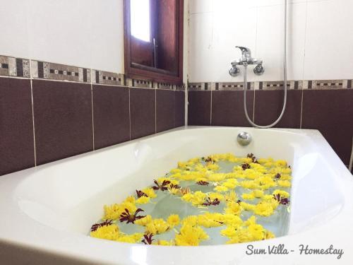 Манг Ден: Sumvilla Homestay - Hostel