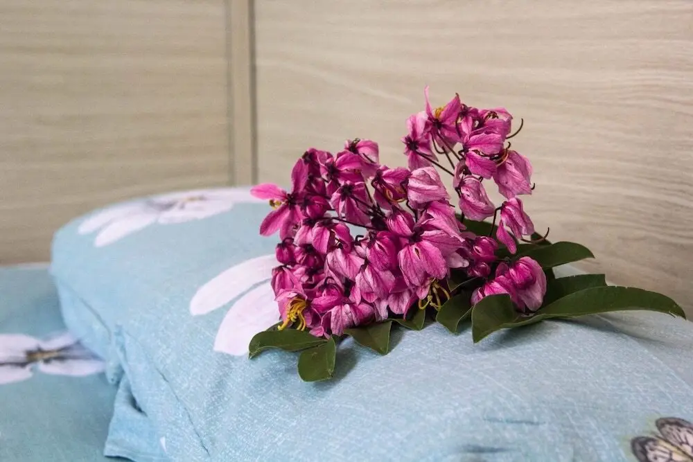 Далат: Family And Friends Homestay Da Lat