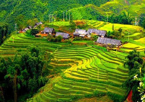 Шапа: Sapa Indigo Inn