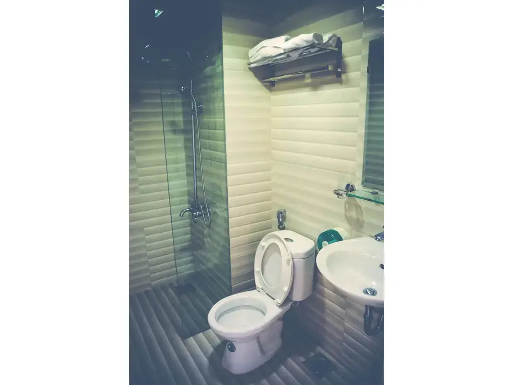 Хайфон: Bao Ngoc Hotel