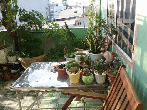 Дананг: Nhaminh Homestay Da Nang - Hostel