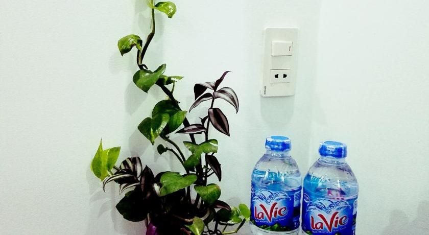 Хойан: Phuong Anh Hoi An Homestay