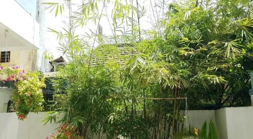 Хойан: Phuong Anh Hoi An Homestay